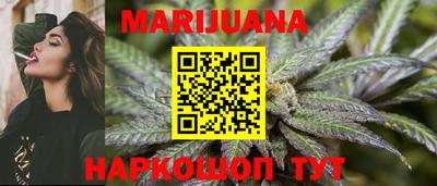 Альфа ПВП Новозыбков