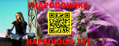 прущие крисы Новодвинск