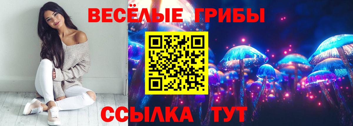 Псилоцибиновые грибы Psilocybe  где можно купить наркотик  Славянск-на-Кубани  Вход с VPN 